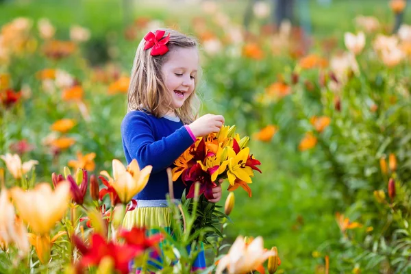 Liten flicka plockning lilly blommor — Stockfoto