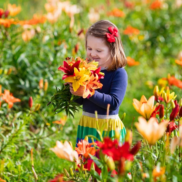 Маленька дівчинка збирає лілійні квіти — стокове фото