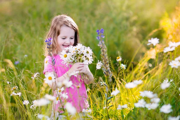 Meisje in daisy flower veld — Stockfoto