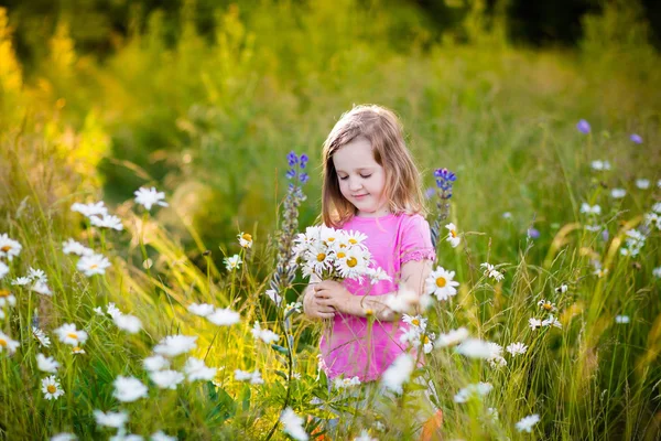 Little girl in daisy flower field Stock Picture