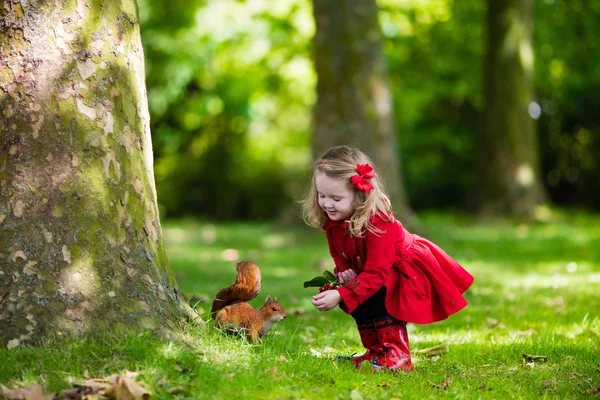 Mała dziewczynka karmienie wiewiórki — Zdjęcie stockowe