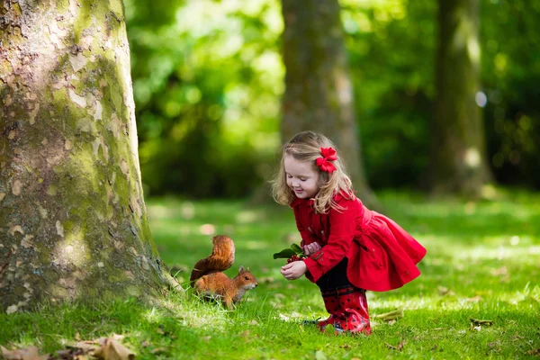 Little girl feeding squirrel — Stock Photo, Image