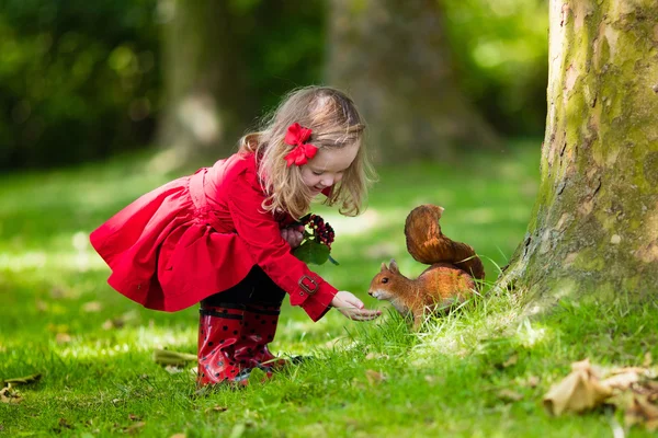 Little girl feeding squirrel — Stock Photo, Image