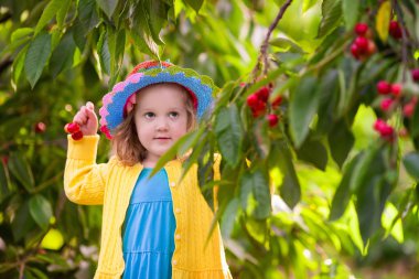 Bahçe ağacından kiraz toplayan küçük kız
