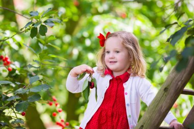 Küçük kız malzeme çekme kiraz