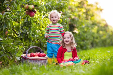 Meyve bahçesinde elma toplama çocuklar