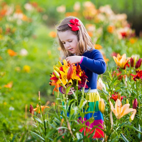 Little girl picking lilly flowers — Stock Photo, Image