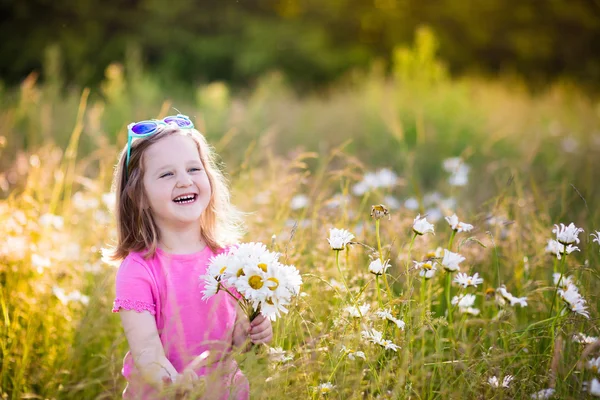 Bambina nel campo di fiori margherita — Foto Stock