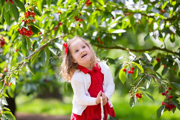 Kleine meisje plukken cherry — Stockfoto