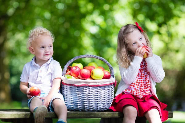 Bahçede elma yiyen çocuklar — Stok fotoğraf