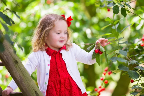 Little girl picking cherry — Stock Photo, Image