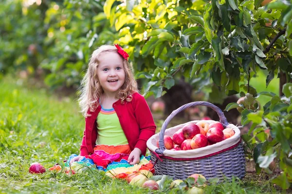 Meisje appels uit boom in een boomgaard vruchten plukken — Stockfoto