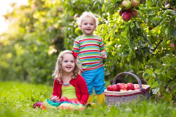 Crianças pegando maçãs no jardim de frutas — Fotografia de Stock