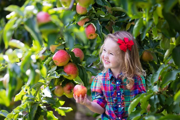 Kleines Mädchen pflückt Äpfel vom Baum in einem Obstgarten — Stockfoto