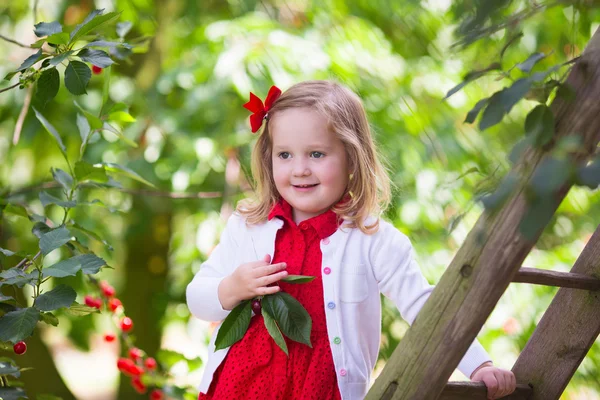 Kleine meisje plukken cherry — Stockfoto