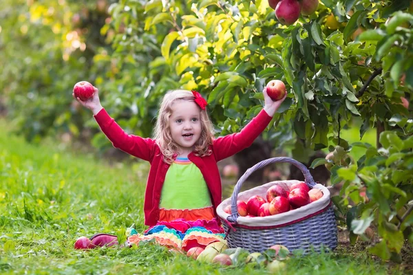 Gadis kecil memetik apel dari pohon di kebun buah — Stok Foto