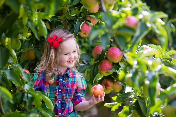 Kleines Mädchen pflückt Äpfel vom Baum in einem Obstgarten — Stockfoto