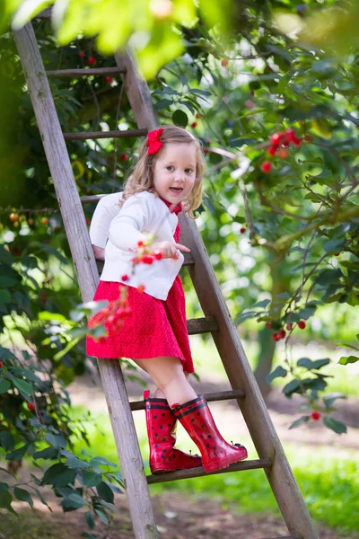 Kleine meisje plukken cherry — Stockfoto