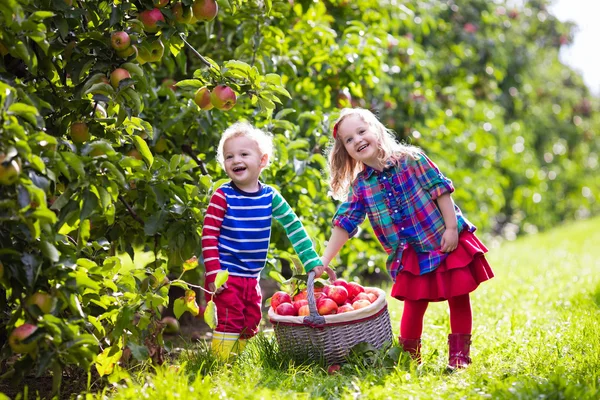 Kinderen plukken appels in groente tuin — Stockfoto