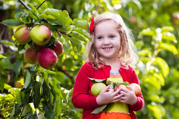 Gadis kecil memetik apel dari pohon di kebun buah — Stok Foto
