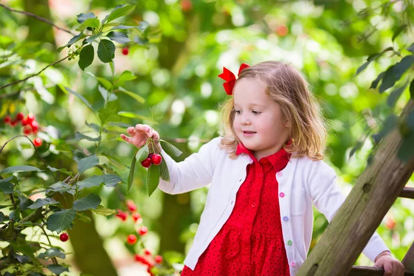 Little girl picking cherry — Stock Photo, Image