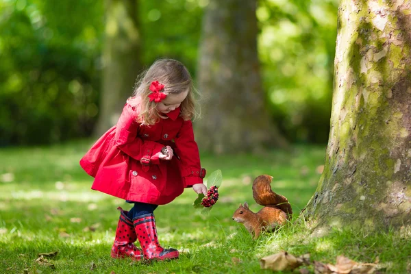 Kleines Mädchen füttert Eichhörnchen — Stockfoto