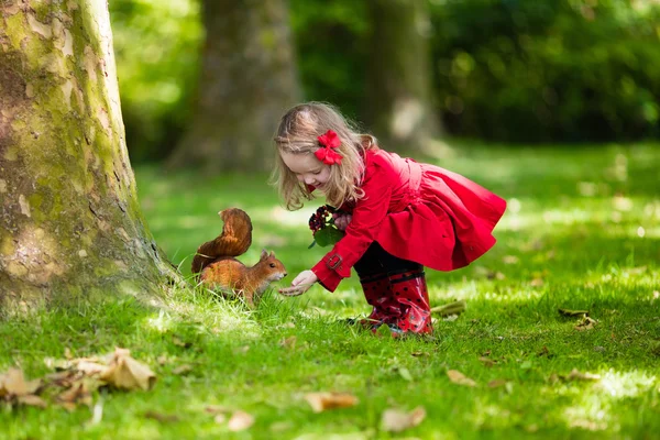 Kleines Mädchen füttert Eichhörnchen — Stockfoto