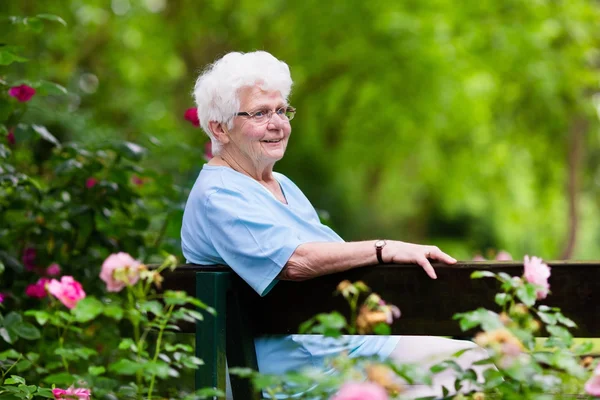 Señora mayor en jardín de rosas —  Fotos de Stock