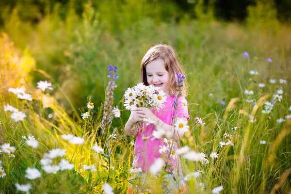 Little girl in daisy flower field — Stock Photo, Image