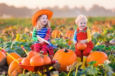 Çocuklar Halloween kabak yama üzerinde kabak toplama