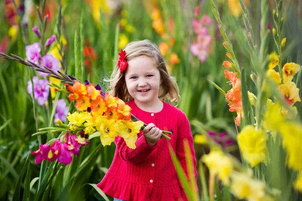 Gyermek szedés friss gladiolus virágok — Stock Fotó