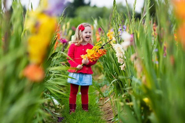 Bambino raccolta fiori gladiolus freschi — Foto Stock