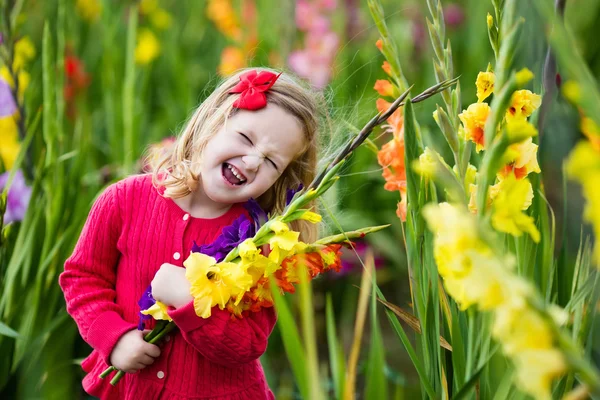 Child picking fresh gladiolus flowers — Stock Photo, Image