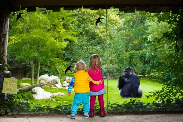 Niños viendo animales en el zoológico —  Fotos de Stock