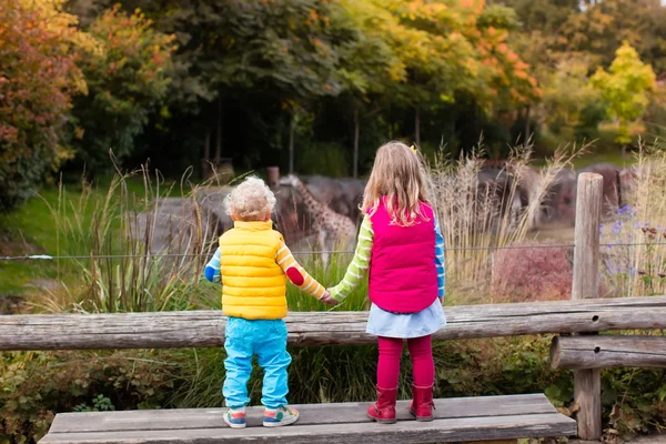 Kinder beobachten Tiere im Zoo — Stockfoto