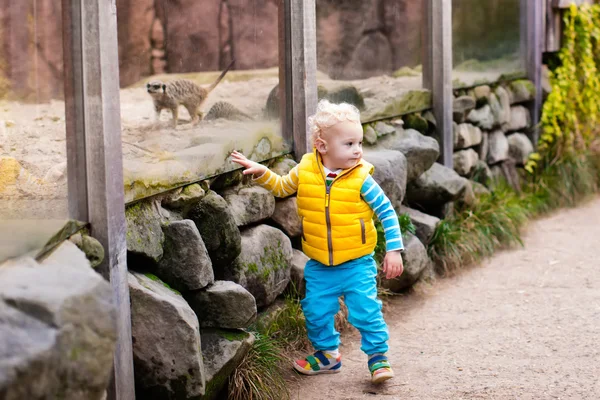 Mały chłopiec ogląda zwierzęta w zoo — Zdjęcie stockowe