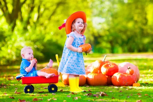 Kids playing at pumpkin patch — Stok fotoğraf