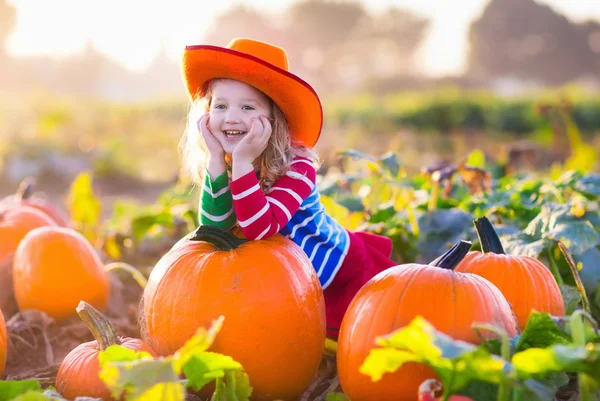 Niño jugando en el parche de calabaza —  Fotos de Stock