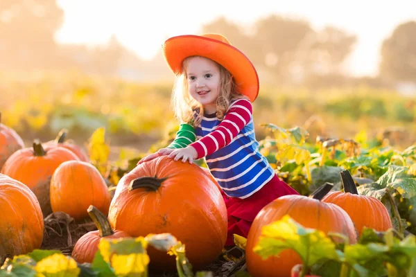 Kind spelen op pompoen patch — Stockfoto