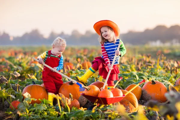 Enfants cueillant des citrouilles sur Halloween patch citrouille — Photo