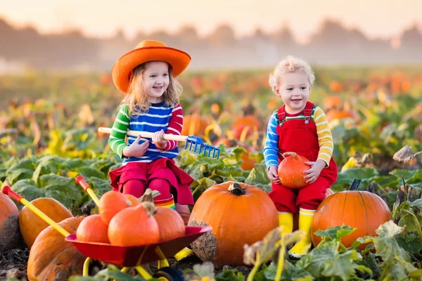 Niños recogiendo calabazas en el parche de calabaza de Halloween —  Fotos de Stock