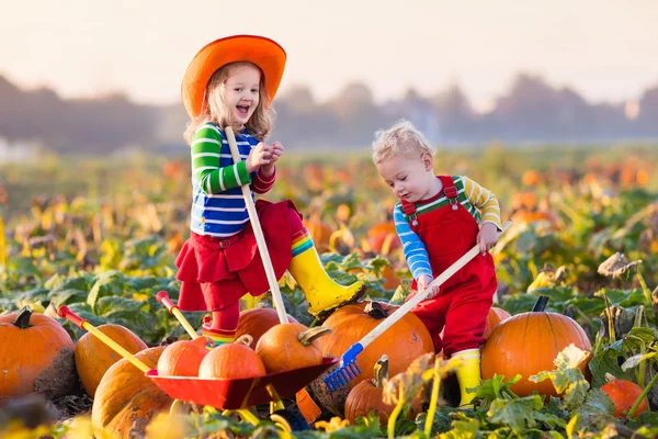 Çocuklar Halloween kabak yama üzerinde kabak toplama — Stok fotoğraf
