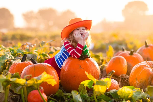 Kind spelen op pompoen patch — Stockfoto