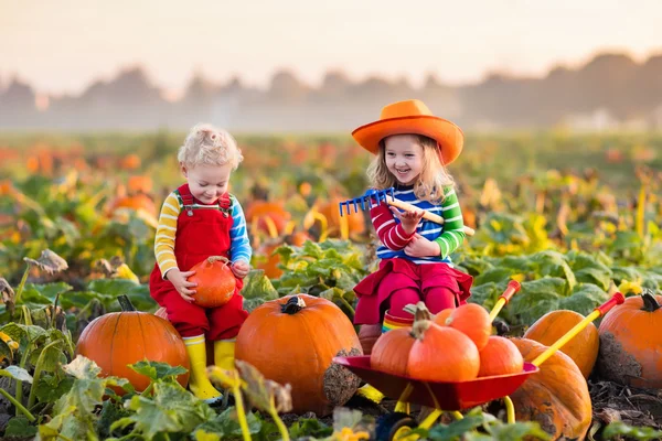 Niños recogiendo calabazas en el parche de calabaza de Halloween —  Fotos de Stock