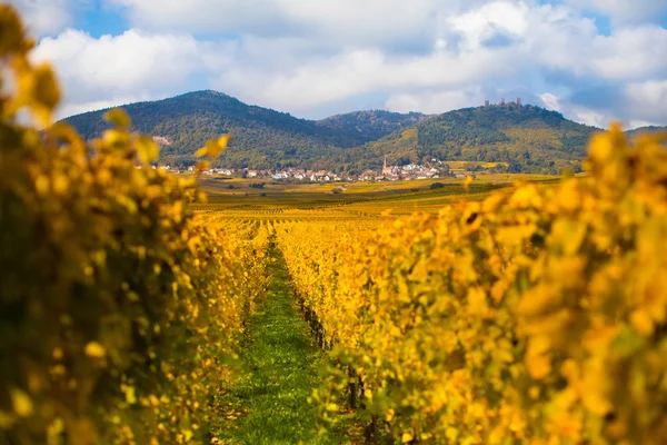Scenic view of Alsace hills — Stock Photo, Image