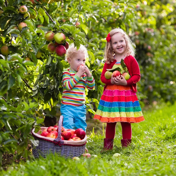Děti při sbírání jablek v ovocné zahradě — Stock fotografie