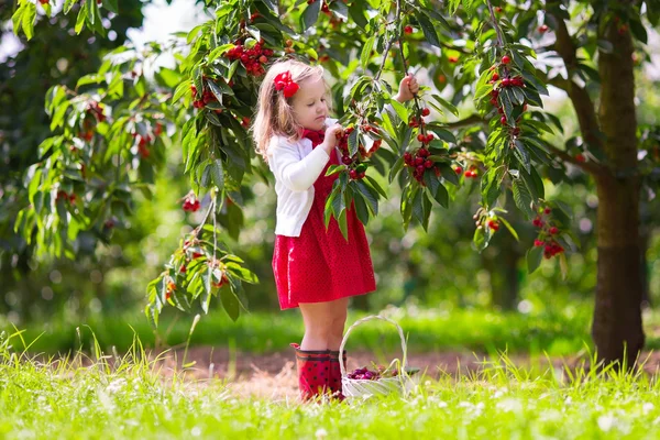 Little girl picking cherry — Stock Photo, Image