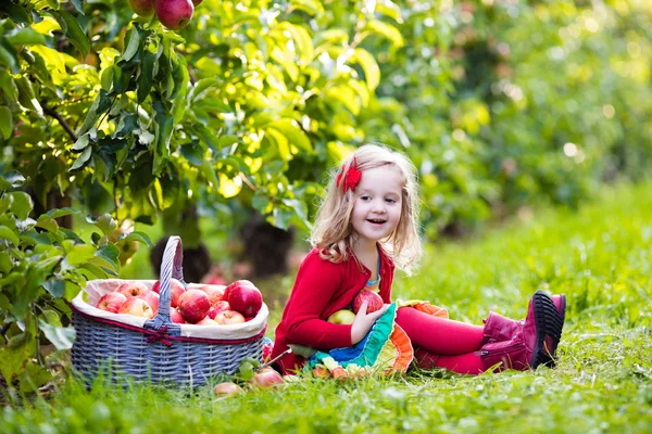 Meisje appels uit boom in een boomgaard vruchten plukken — Stockfoto