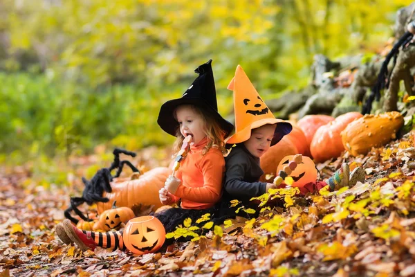 Niños con calabazas en Halloween —  Fotos de Stock