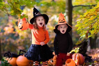 Halloween pumpkins çocuklarla